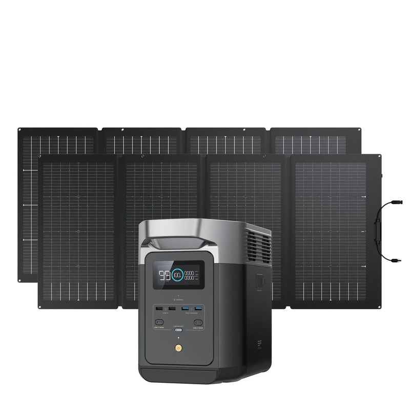 EcoFlow Solar Generator: Delta 2