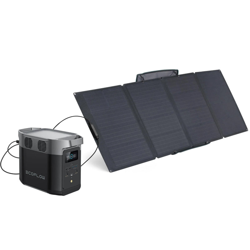 EcoFlow Solar Generator: Delta 2