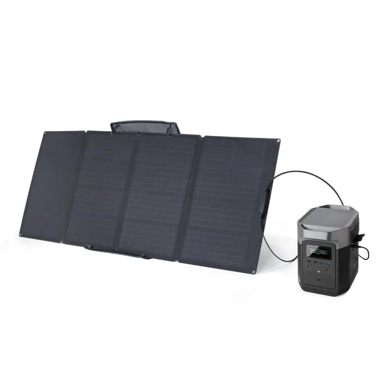 EcoFlow Solar Generator: Delta 1000